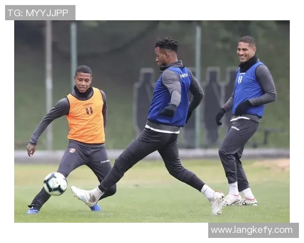 巴西与奥地利精彩对决图文直播全程回顾与分析