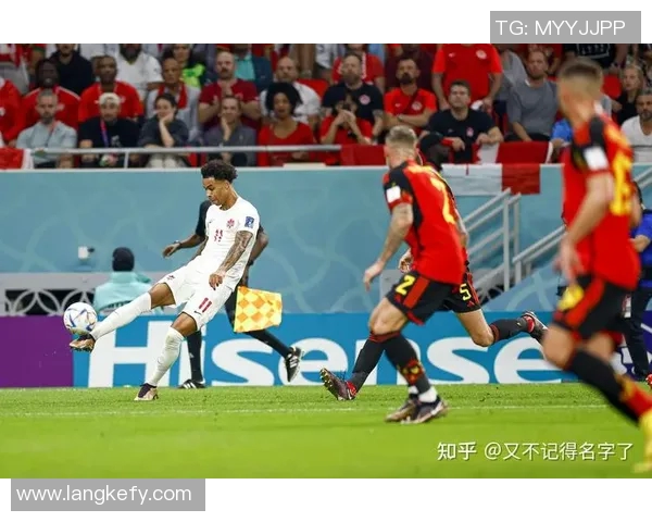 比利时与爱尔兰精彩对决视频回顾及赛后分析