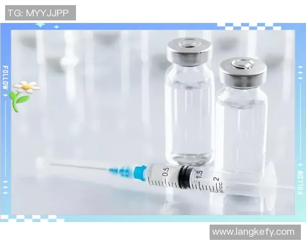 北京羽毛球队整体压制革新之路：从战术调整到团队协作的全面升级